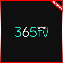 스포츠중계-365티비